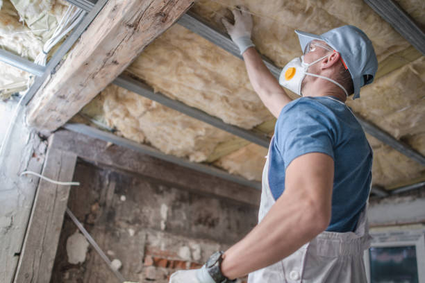 Best Insulation Materials and Products in Fircrest, WA